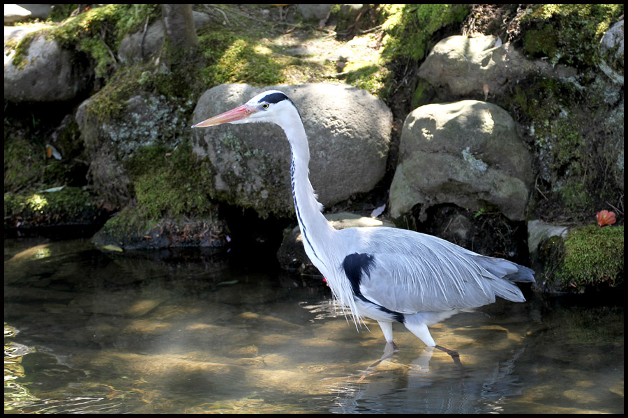 Kanazawa Kenrokuen Garden
