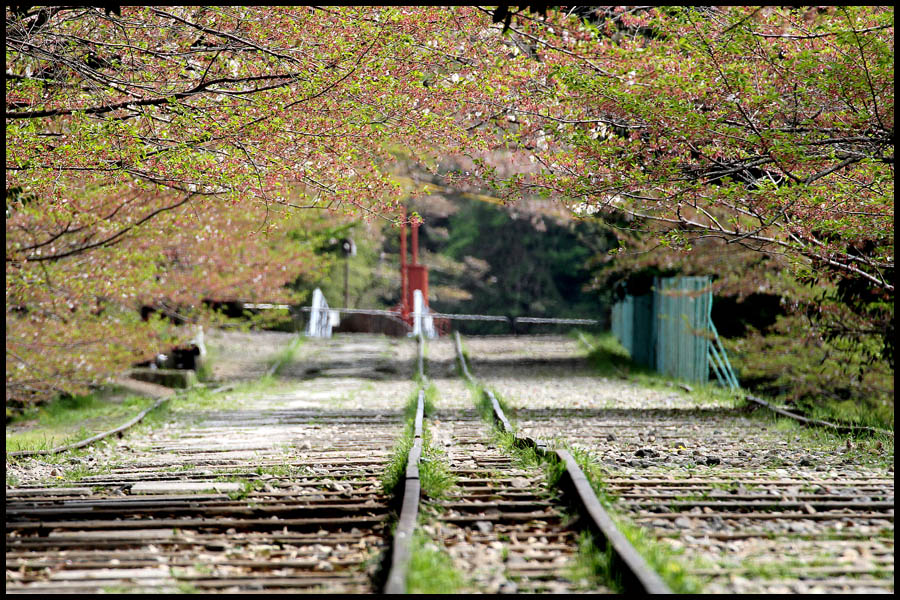 Kyoto