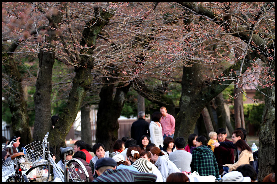 Matsumoto Hanami