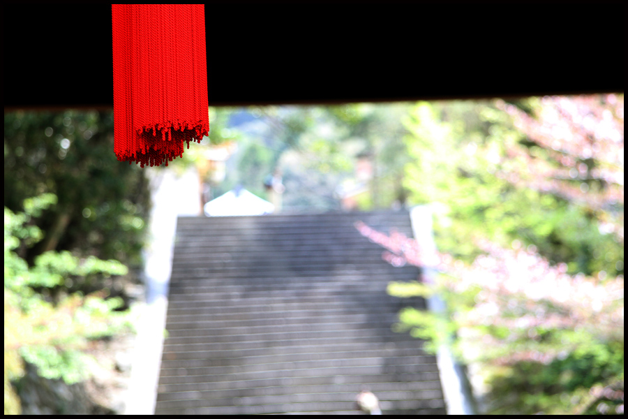 Chionin Temple, Kyoto