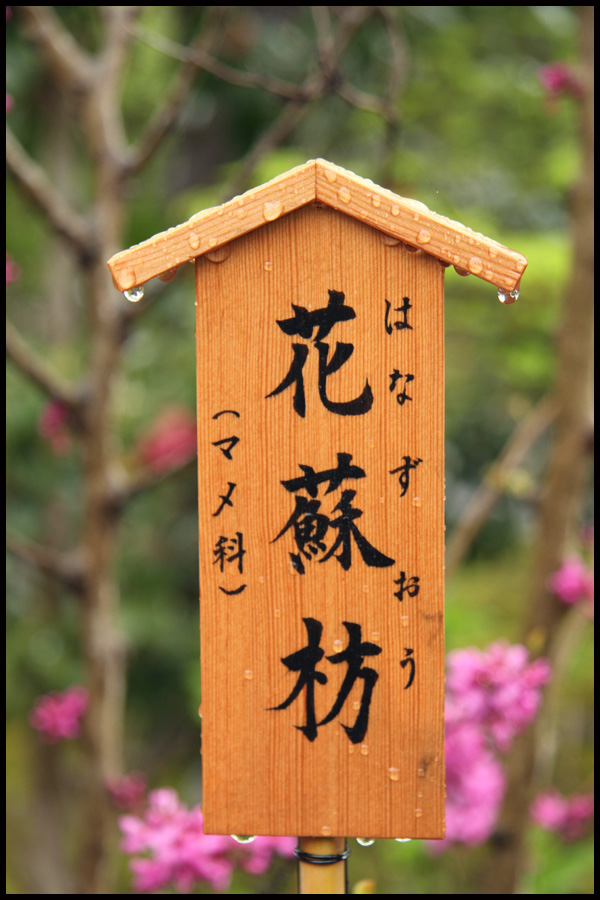 Kyoto